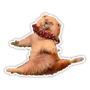 Dance