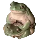 Стикер Toad