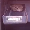 Стикер Toads and Frogs