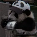Стикер panda