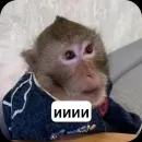 Стикер collection