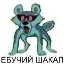 Стикер Tру шакал