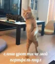 Стикер sweety