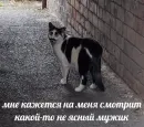 Стикер sweety