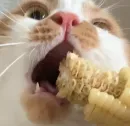 Стикер sweety