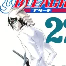 Стикер Bleach