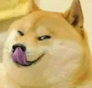 Стикер Shiba Memes