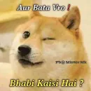 Стикер Shiba Memes