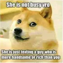 Стикер Shiba Memes