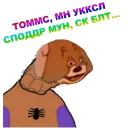 Стикер Software