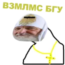 Стикер Software