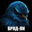 Birds Memes