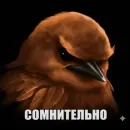 Стикер Birds Memes