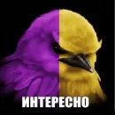 Стикер Birds Memes