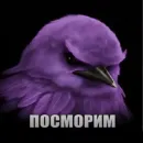 Стикер Birds Memes