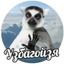 Стикер УЗБАГОЙСЯ