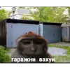вахуи