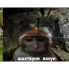 Стикер вахуи