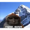 Стикер вахуи