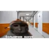 Стикер вахуи