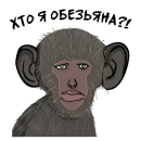 Valakas Sticker Pack №1