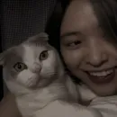 Стикер shin ryujin