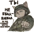 Стикер котики