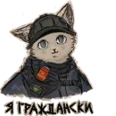 Стикер котики