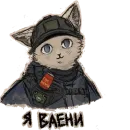 Стикер котики