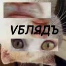 VБЛЯДЪСКИЕ СТИКЕРЫ