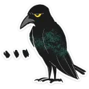 Стикер Ворон Морон