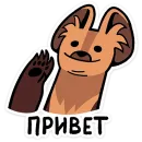 Коготок
