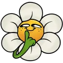 Стикер Цветик Без Текста