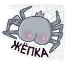 Стикер Паучок Фаззи