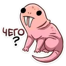 Голый землекоп | Naked mole