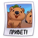 Стикер Ося
