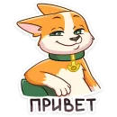 Миксик и жиза