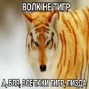 Волчья Стая