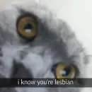 Стикер lets nihihi