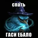 Стикер Birds Memes