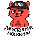 Стикер Вареный Кот