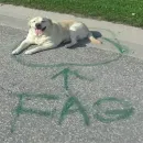 Стикер Всратые Коты