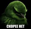 Стикер Birds Memes
