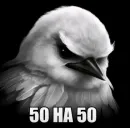 Стикер Birds Memes