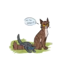 Cats warriors