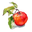 Стикер Watercolor red
