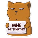 Стикер Девочка-Панда и кот Барсик