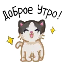 Стикер Вилли кот