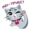 Стикер Табби