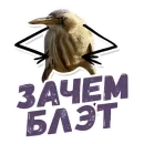 Так Блэт